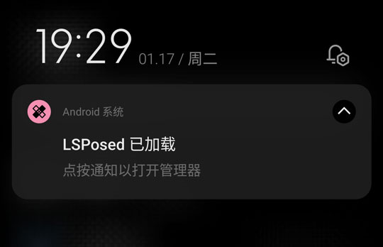 图片[4]-LSPosed 安装教程（LSP框架安装教程）